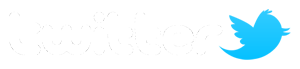 Twitter Logo Small